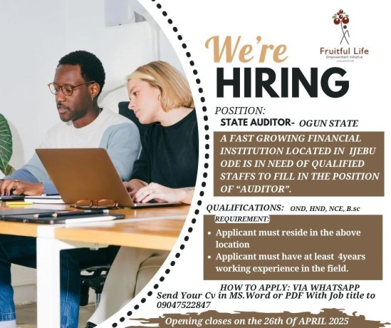 state-auditor-needed-big-0