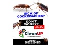 complete-fumigation-services-small-2