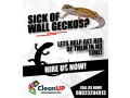 complete-fumigation-services-small-3