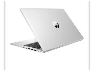 HP ProBook 450 G8 Notebook (32M61EA)