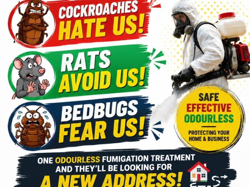 pest-control-odourless-fumigation